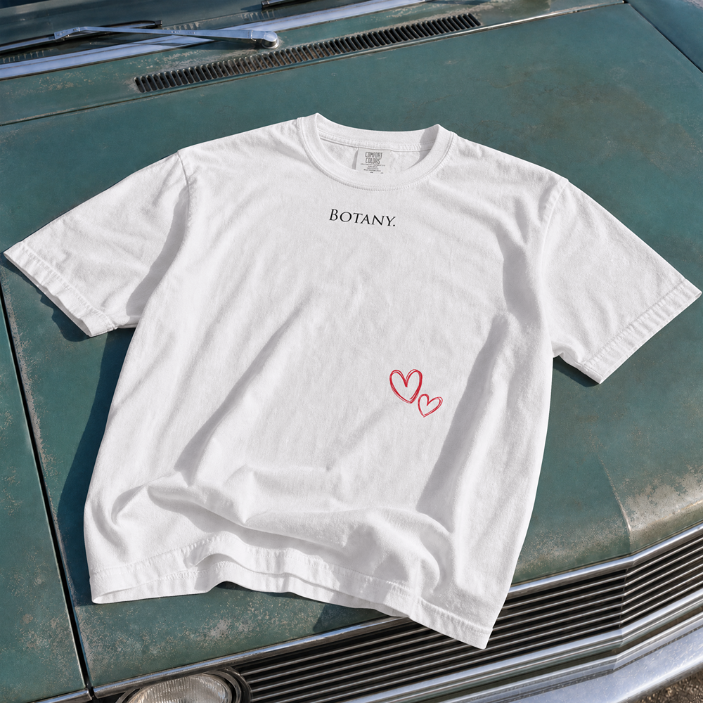 Early Access Drop